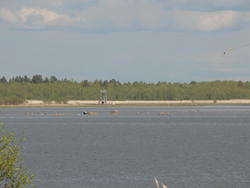 p1010247s.jpg
