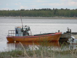 p1010255s.jpg