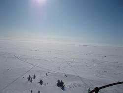 IMG_1229.JPG