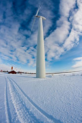 _MG_9046.jpg