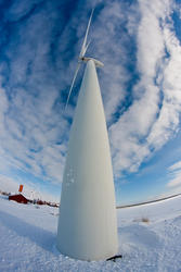 _MG_9049.jpg