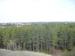 DSC01169.JPG