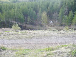 DSC01172.JPG