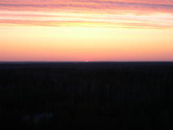 dscn5295.jpg