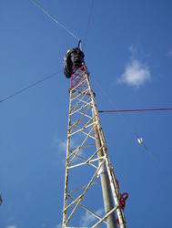 100_0957t.jpg