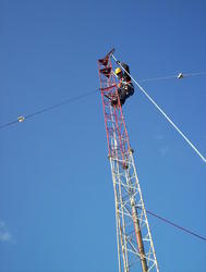 100_0962t.jpg