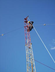 100_0964t.jpg