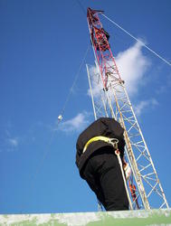 100_0965t.jpg