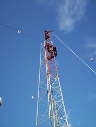 100_0978t.jpg
