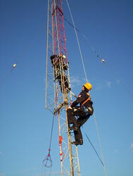 100_0987t.jpg