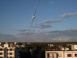 dscn5175.jpg