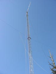 113-1342_IMG.JPG