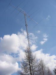 113-1343_IMG.JPG