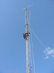 113-1351_IMG.JPG