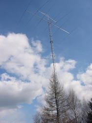 113-1352_IMG.JPG