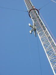 113-1358_IMG.JPG