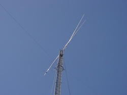 DSC01088.JPG