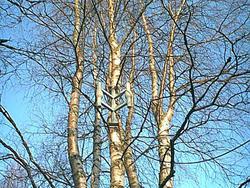 Image49.jpg